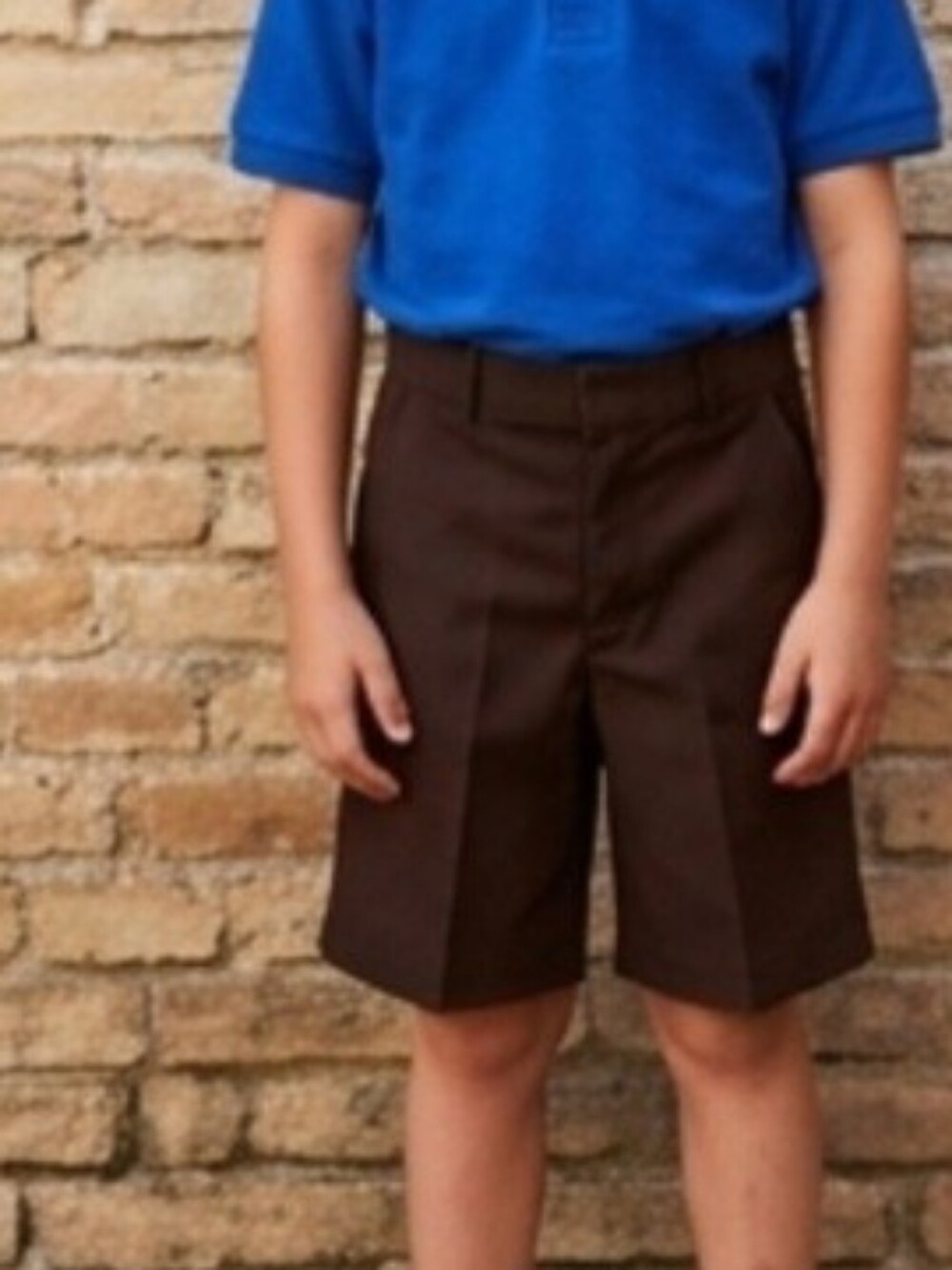 Boy's Brown Dickes Shorts
